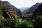 این زن جوان با ۲ فرزندش در کوه زندگی‌ می‌کنند