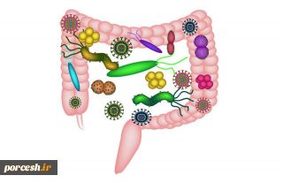 کشف باکتری‌هایی که در ابتلا به سرطان روده دست دارند