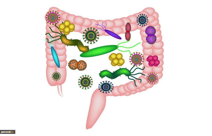 کشف باکتری‌هایی که در ابتلا به سرطان روده دست دارند 2