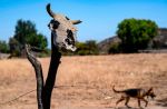 بیش از ۳ میلیارد نفر تا سال ۲۰۲۷ در گرمای غیرقابل تحمل زندگی می‌کنند 2