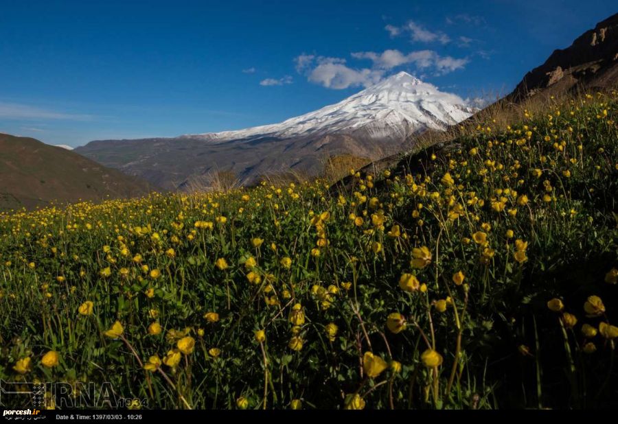 ابراز تردید خبرگزاری دولت نسبت به خارج کردن یال های دماوند از وقف 2